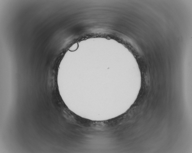 X0000111420968200908241129