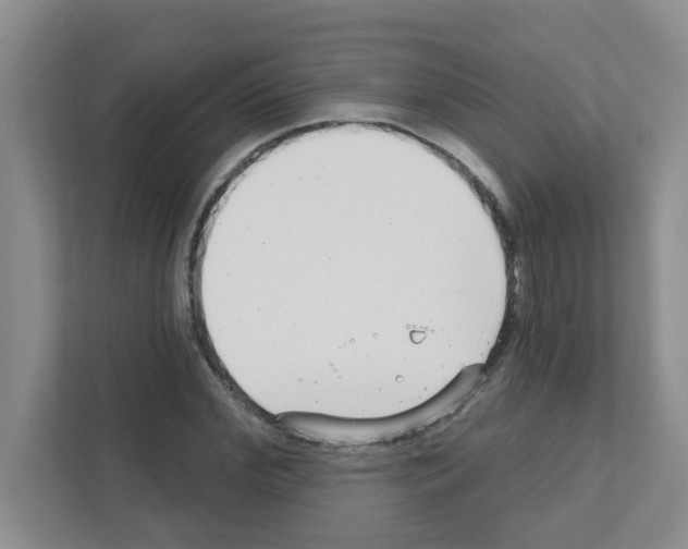 X0000111420972200908241129
