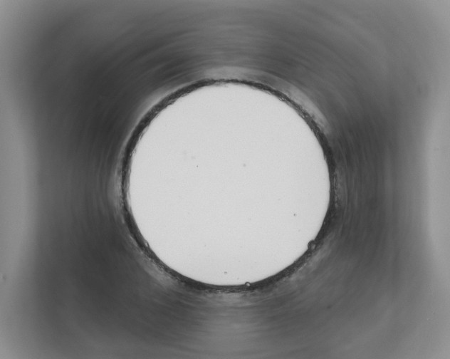 X0000111420976200908241128
