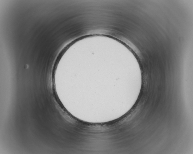 X0000111420980200908241128