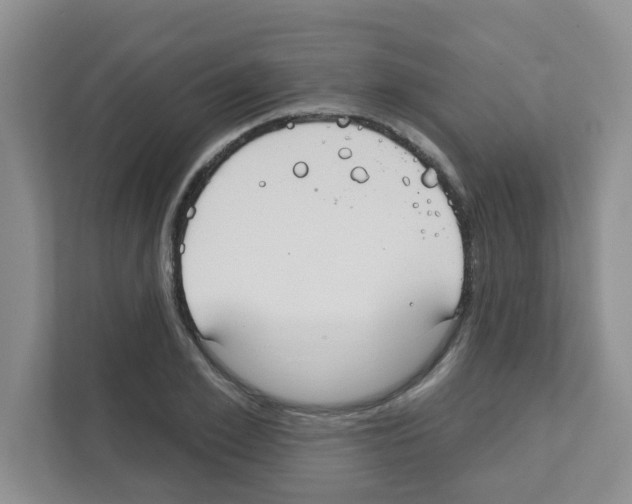 X0000111420981200908241128