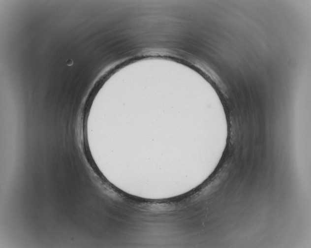 X0000111420984200908241128