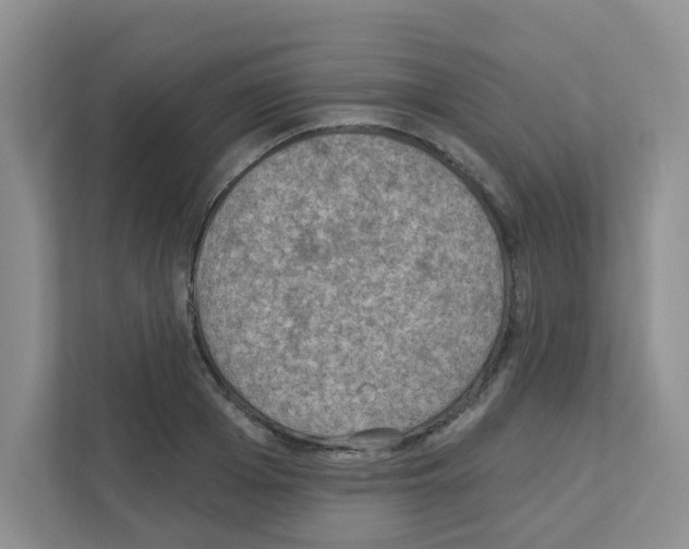 X0000111420985200908241128