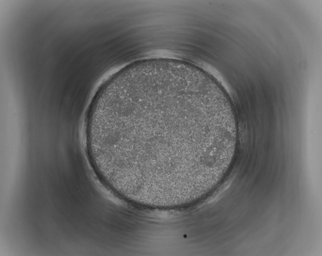 X0000111420987200908241128