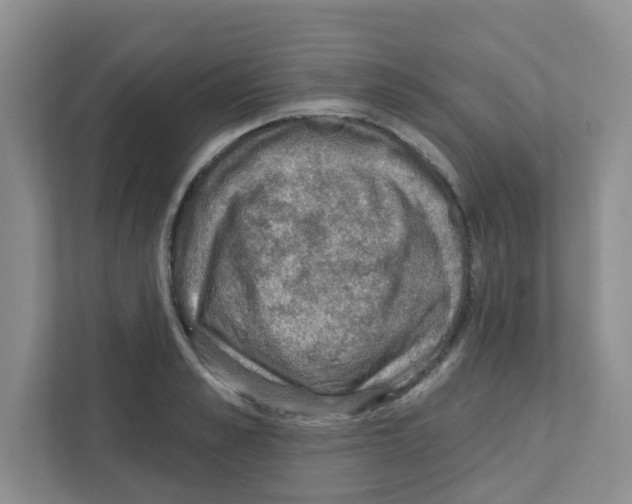 X0000111420989200908241128