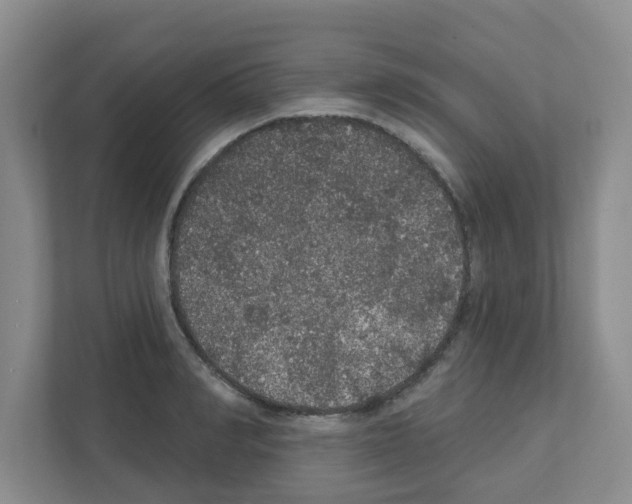 X0000111420990200908241128
