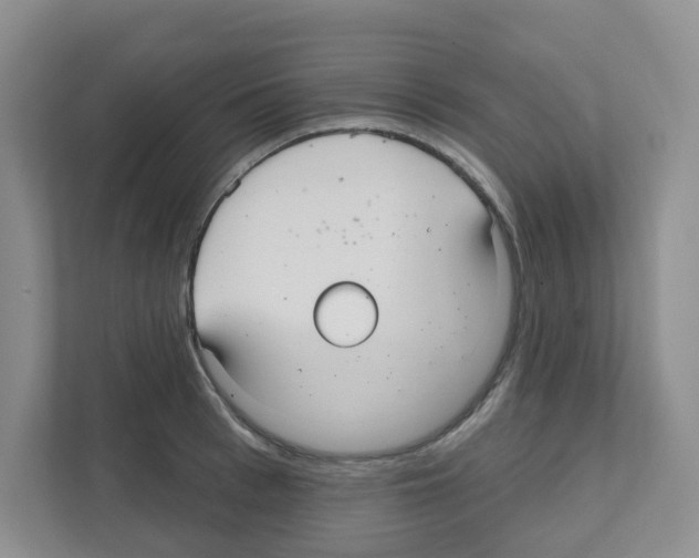 X0000111420993200908241128
