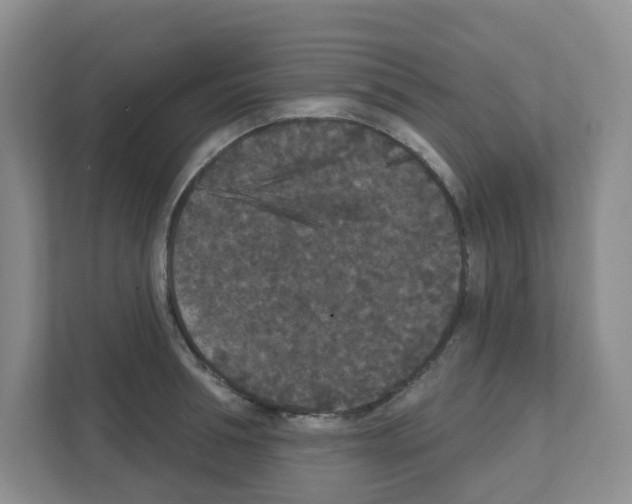 X0000111420994200908241128