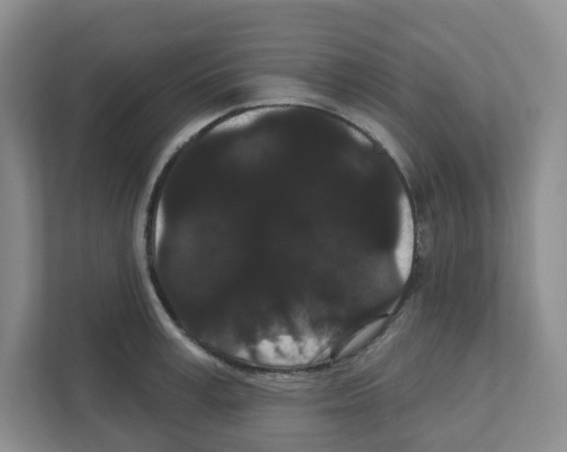 X0000111420995200908241128