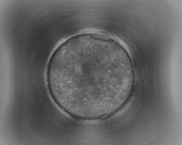 X0000111420997200908241128