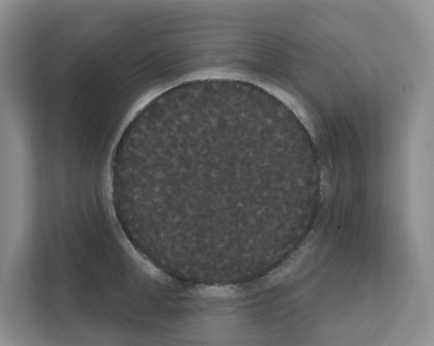 X0000111420998200908241128