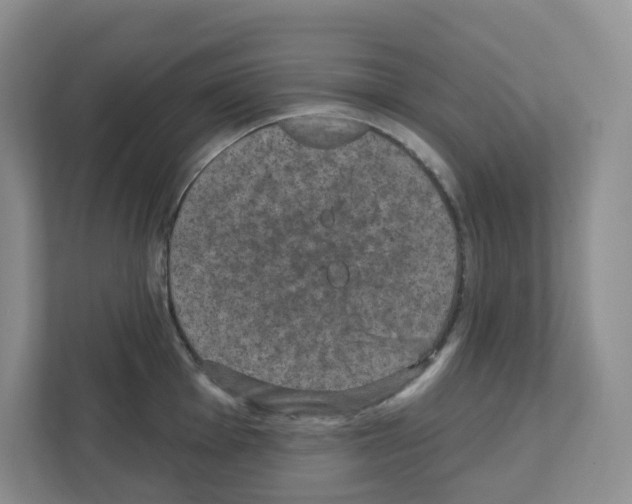 X0000111421001200908241128