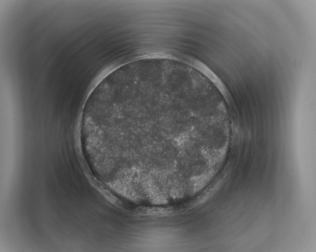 X0000111421002200908241128