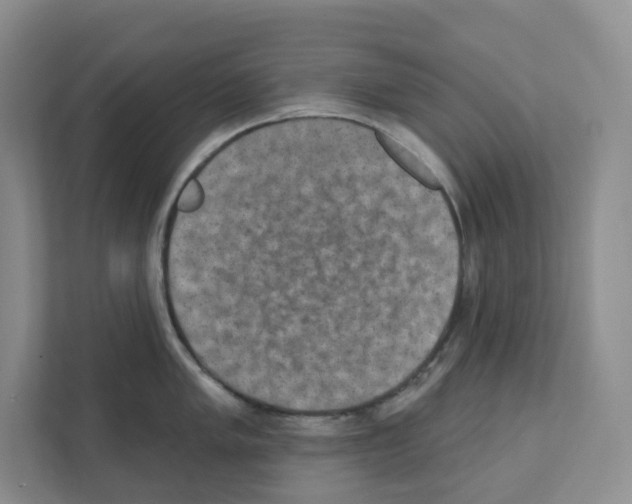 X0000111421005200908241128