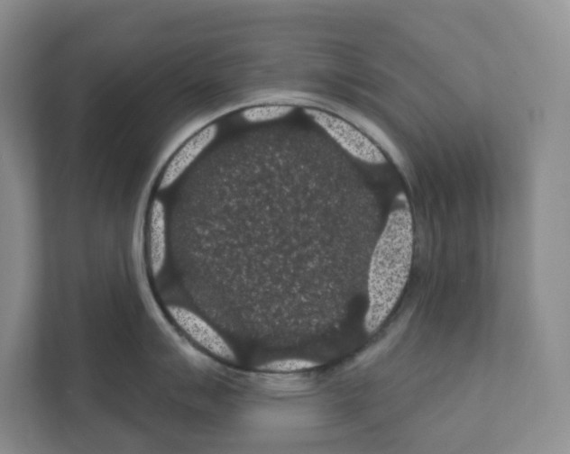 X0000111421007200908241128