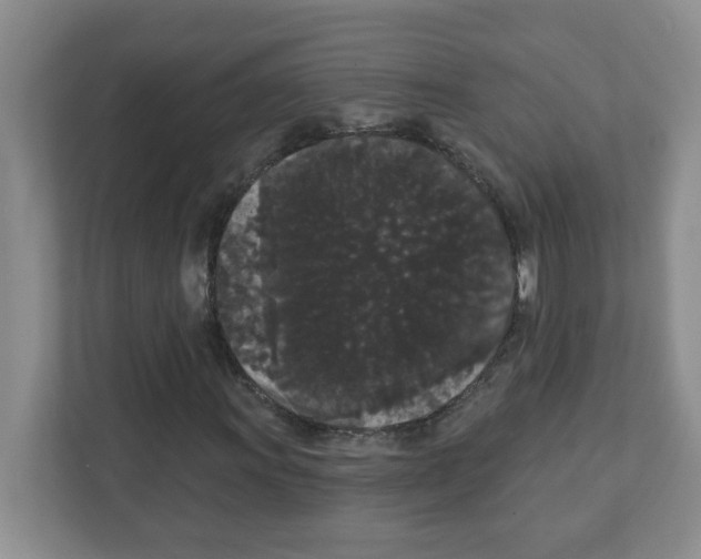 X0000111421011200908241127