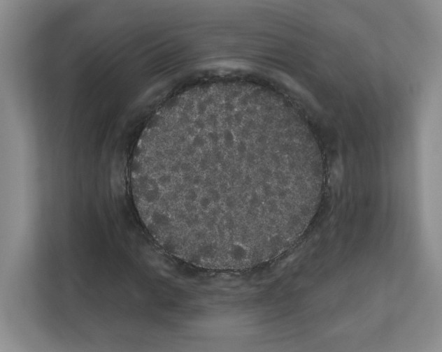 X0000111421014200908241127