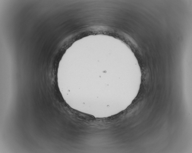 X0000111421016200908241128