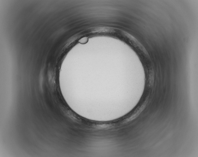 X0000111421017200908241128