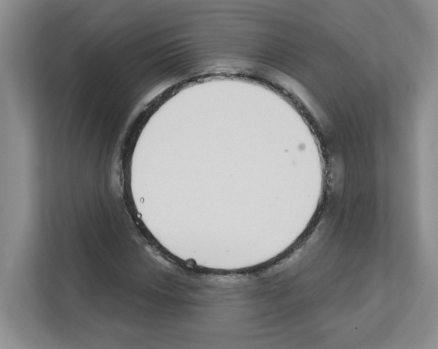 X0000111421018200908241128