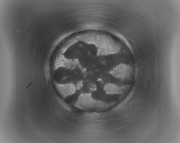 X0000111421019200908241128