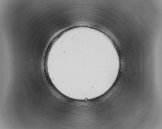 X0000111421020200908241128