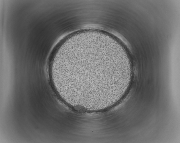 X0000111421022200908241128
