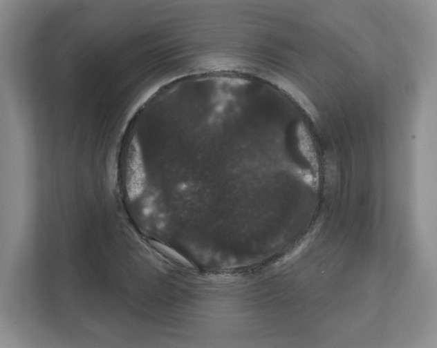 X0000111421023200908241128