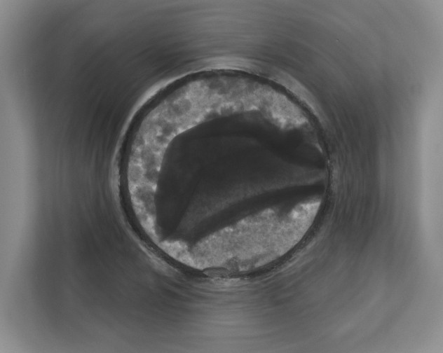 X0000111421024200908241128