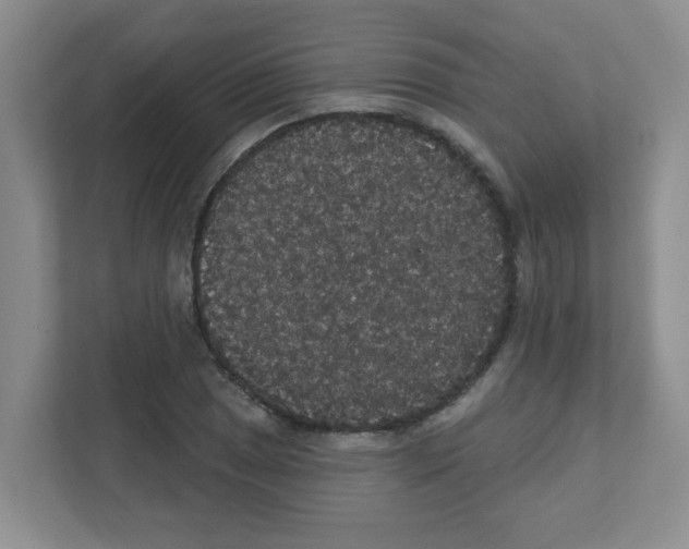 X0000111421025200908241128