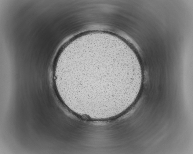 X0000111421029200908241128