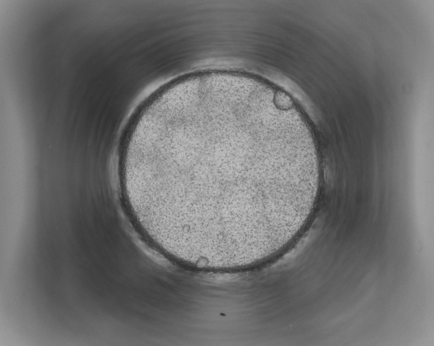 X0000111421030200908241128