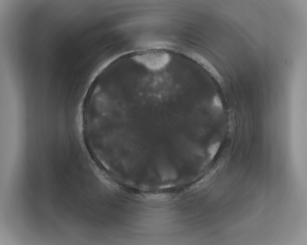 X0000111421031200908241128