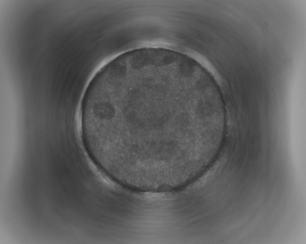 X0000111421032200908241128
