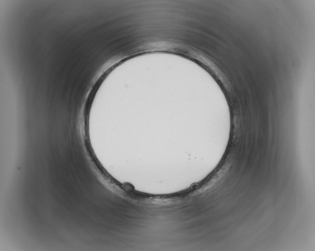 X0000111421034200908241128