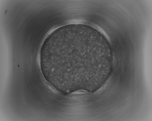 X0000111421035200908241128