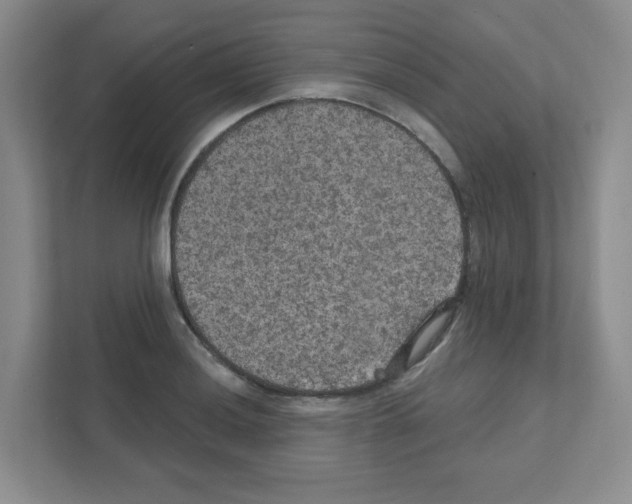 X0000111421036200908241128