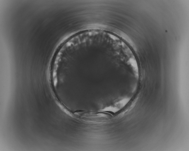 X0000111421037200908241128