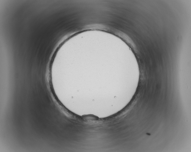 X0000111421040200908241128