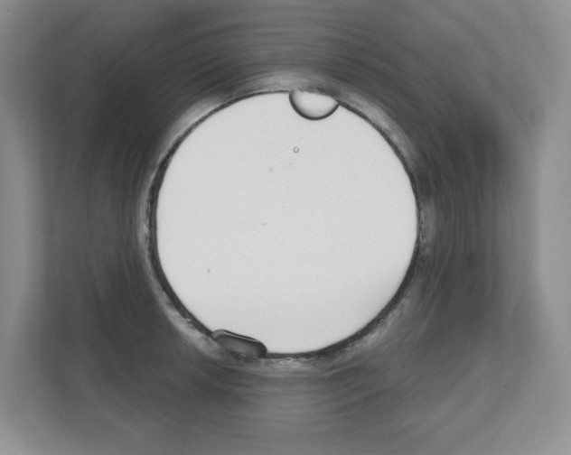 X0000111421042200908241128