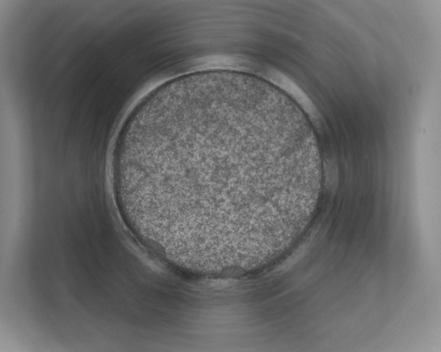 X0000111421043200908241128