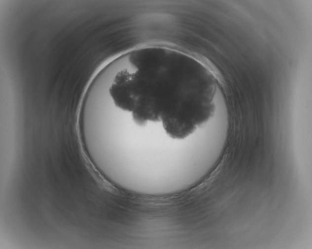 X0000111421044200908241128