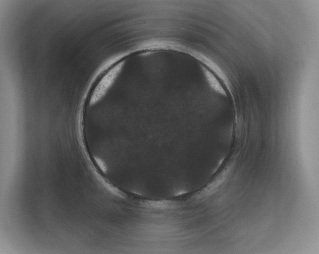 X0000111421045200908241128