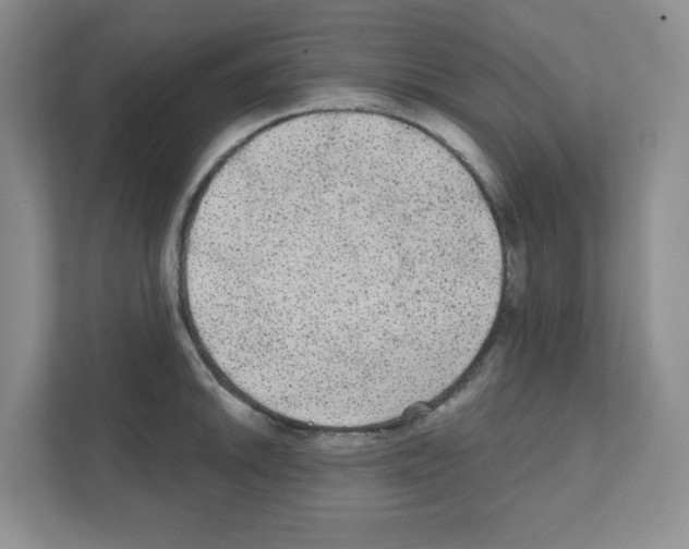X0000111421046200908241128