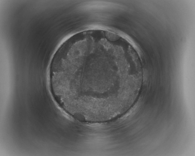 X0000111421048200908241128