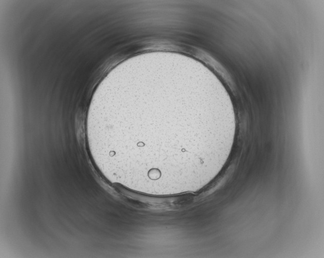 X0000111421049200908241128