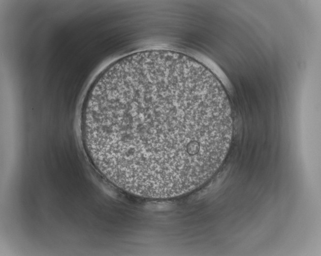 X0000111421051200908241128