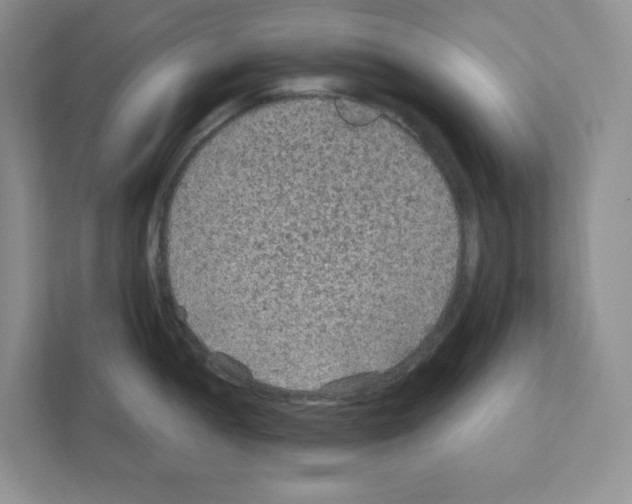 X0000111421052200908241128
