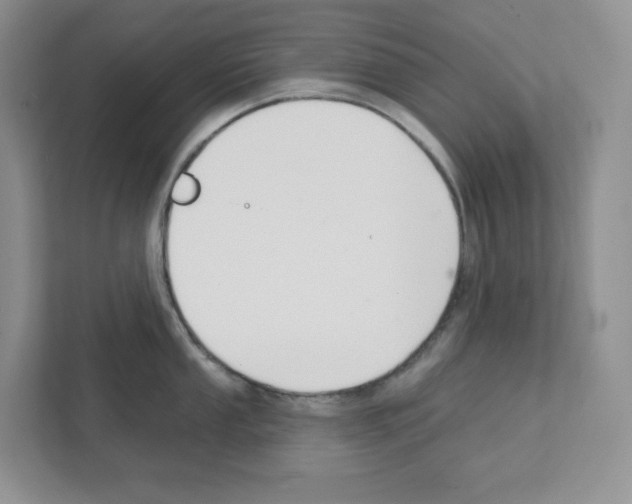 X0000111421053200908241128