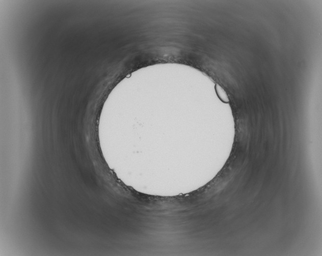 X0000111421057200908241127